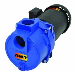 AMT Pump 316A-95 Sewage & Trash Pump, Cast Iron, 3 HP, 3 Phase, 230-460V, Curve A, 2" NPT Female Suction & Discharge Ports