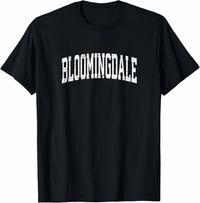 Bloomingdale Illinois IL Vintage Athletic Sports Design T-Shirt