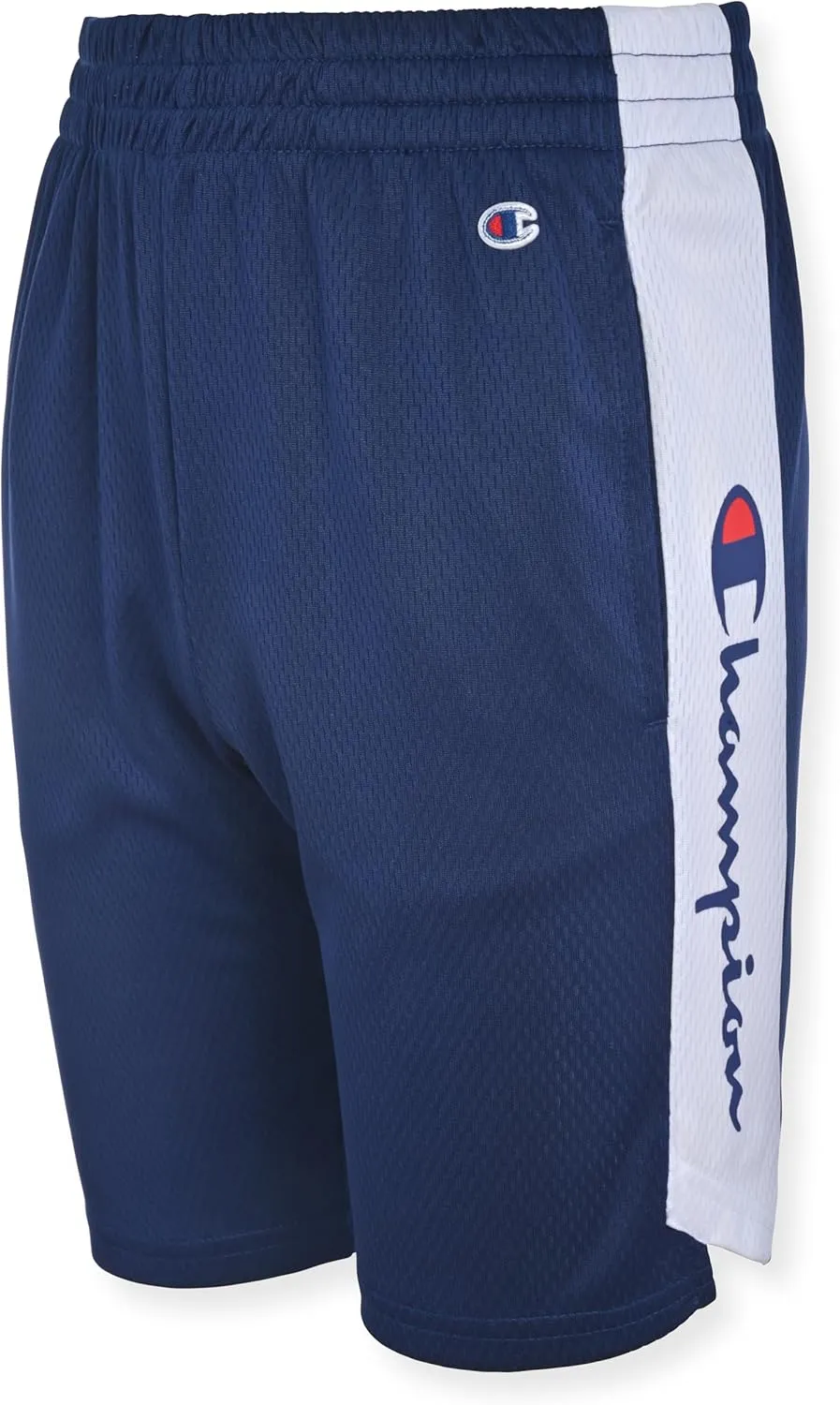 Champion Boys Hertiage Script Mesh Short