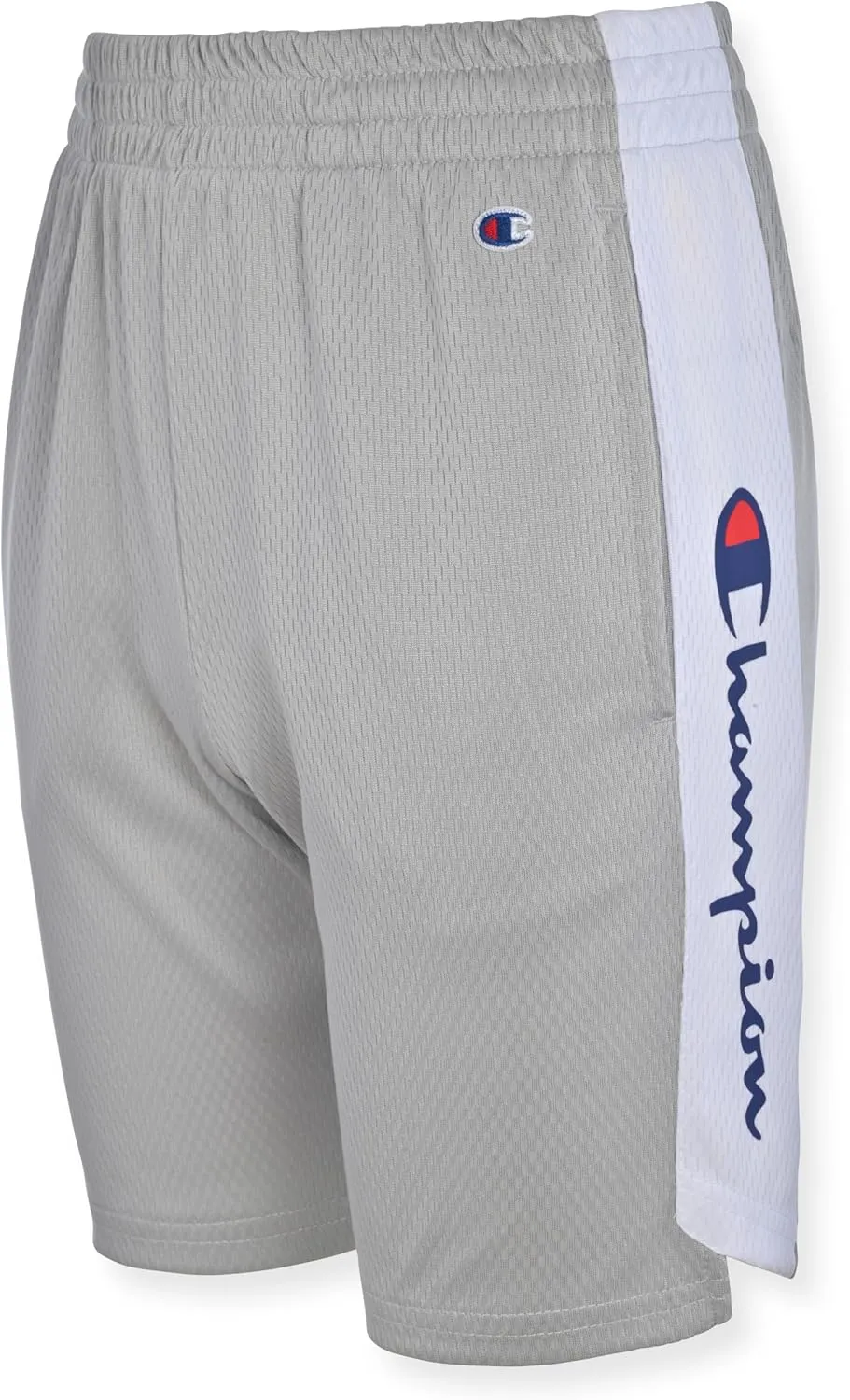 Champion Boys Hertiage Script Mesh Short