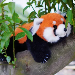 Chongker Cute Red Panda Plush Toy, Weighted Stuffed Animals, Red Panda Plush Animals Collection, Handmade Like Real, Large Size Stuffed Animals