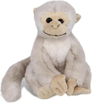 DolliBu Squirrel Monkey Stuffed Animal - Super Soft Stuffed Animal Squirrel Monkey Plush, Adorable Wildlife Animal Squirrel Monkey Doll, Cute Zoo Stuffed Animals for Kids and Adults - 12 Inches