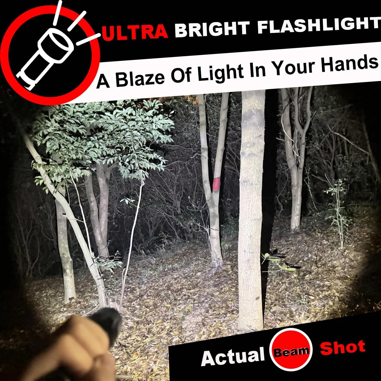 Flashlights High Lumens 6PCS, 1 Mode LED Flashlight Super Bright, Small Pocket Flashlight Bulk, Water Resistant Tactical Flash Light for Emergency, Camping, Gift for Men Dad Christmas