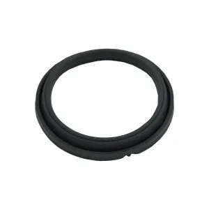 Gasket Dump Valve