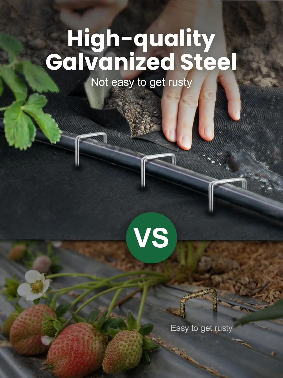 GROWNEER Landscape Staples 100 Packs 6 Inches Heavy Duty 11 Gauge Galvanized Steel Garden Stakes, Garden Staples Securing Pegs for Securing Weed Fabric Landscape Fabric Netting Ground Sheets & Fences