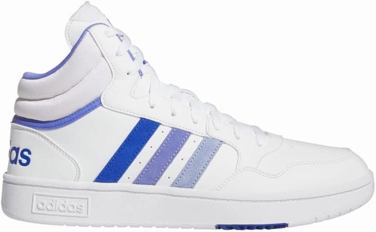 Hoops 3.0 Mid Classic Vintage Shoes