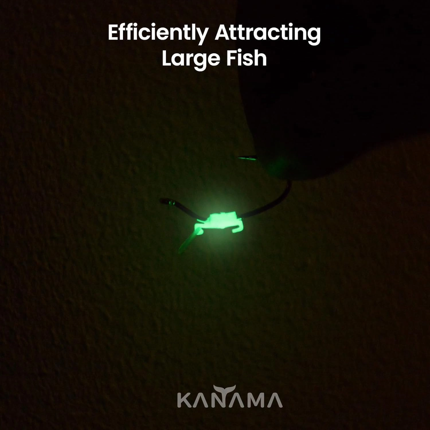 KANAMA Luminous Live Shrimp Hooks - High Carbon Steel Fishing Hooks Saltwater Corrosion Resistant Barbed Strong Hooks Freshwater Shrimp Walker, Ideal for Bass, Groupers, Pike, Catfish & More
