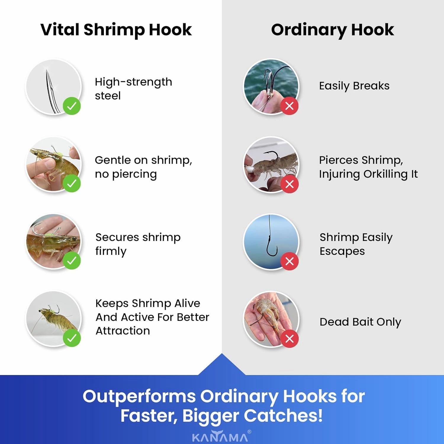 KANAMA Luminous Live Shrimp Hooks - High Carbon Steel Fishing Hooks Saltwater Corrosion Resistant Barbed Strong Hooks Freshwater Shrimp Walker, Ideal for Bass, Groupers, Pike, Catfish & More