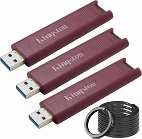 Kingston DataTraveler Max Type-A 256GB High Performance USB Flash Drive (3-Pack) Bundle with Focus Camera Stainless Steel Keyrings (10-Pack) (4 Items)