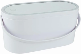 LED Three Color Adjustable Makeup Mirror, Integrated Makeup Storage Box with Light-Filling Mirror, Dual-View Mirror and 180° Swivel, Mirror Lights for Makeup,C