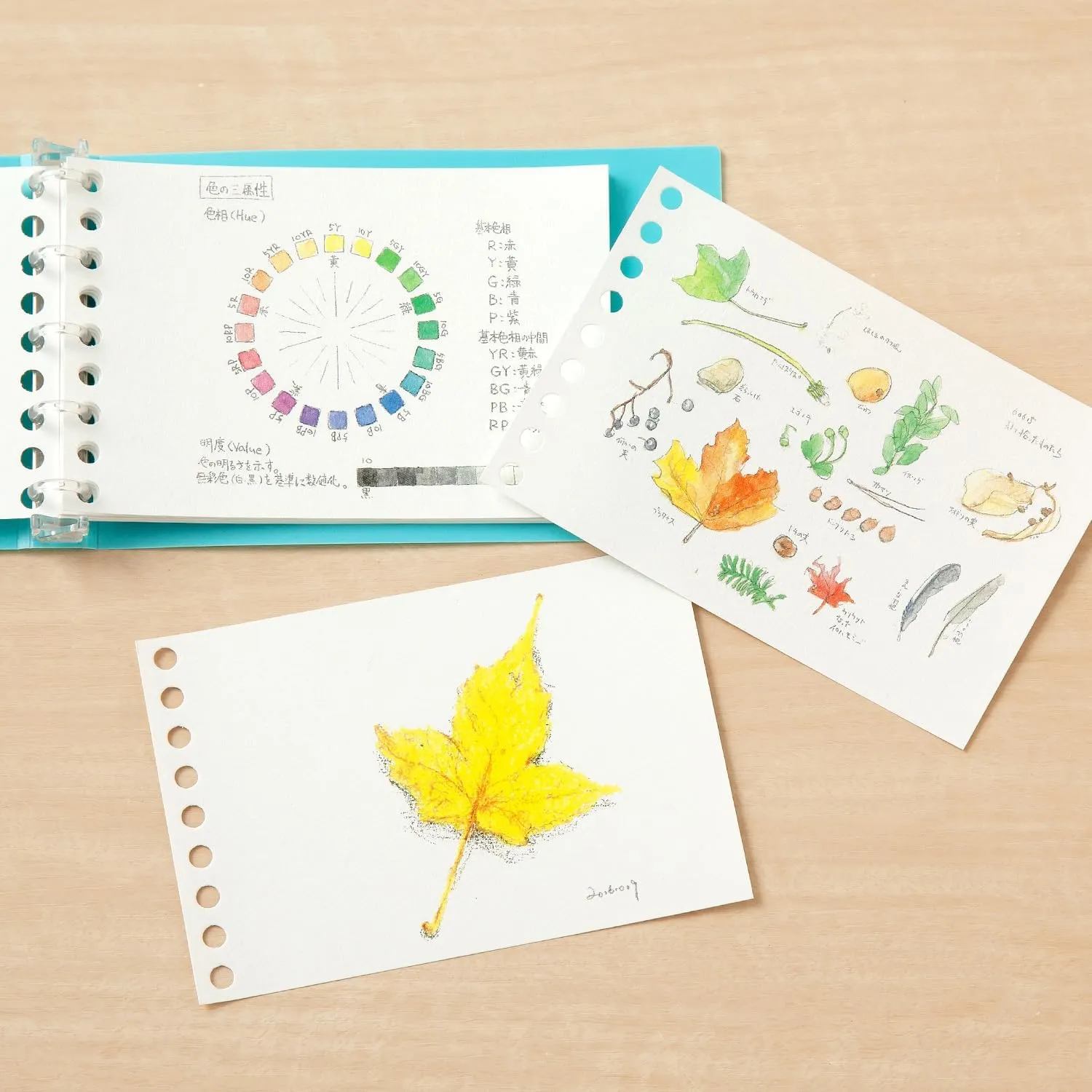 Maruman L1435AX10 Loose Leaf Drawing Paper Leaf, Mini, B7, Plain, 50 Sheets, Set of 10