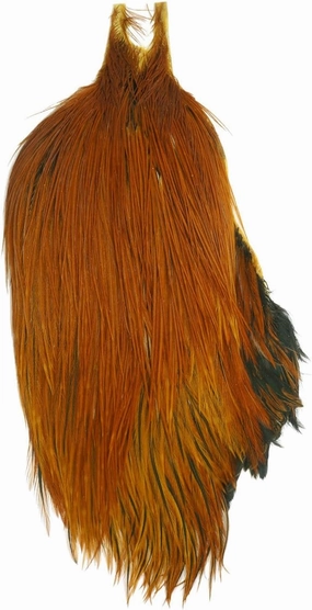 Metz 1/2 Rooster Neck, Grade #2