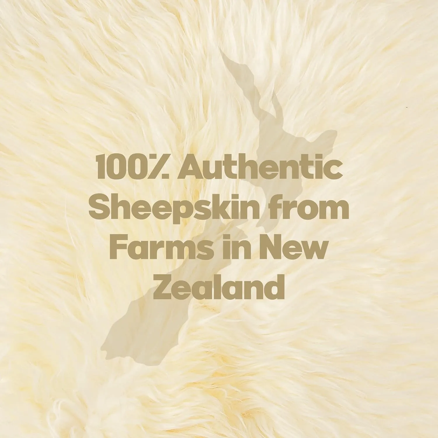 Natural Milan Genuine Sheepskin Area Rugs with Thick and Lush Pile, Fluffy Sheep Fur Rug with Anti-Skid Backing for Bedroom Living Room, Single Pelt, Chocolate 2 ft x 3 ft