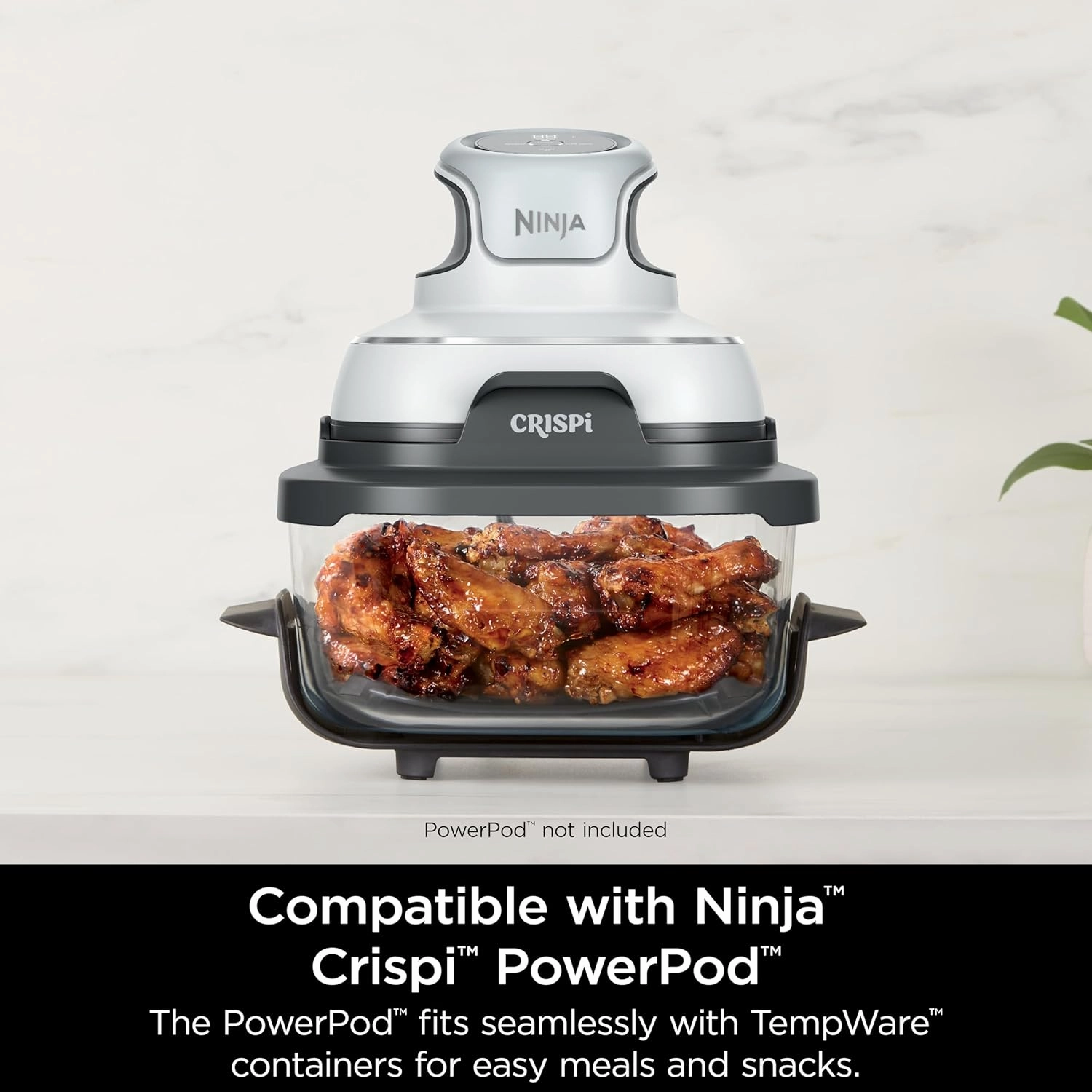 Ninja 4 QT TempWare Glassware Container with Storage lid, Compatible Crispi Portable Cooking System, Microwave, Freezer and Dishwasher Safe, PFAS Free Glass Cooking Surface