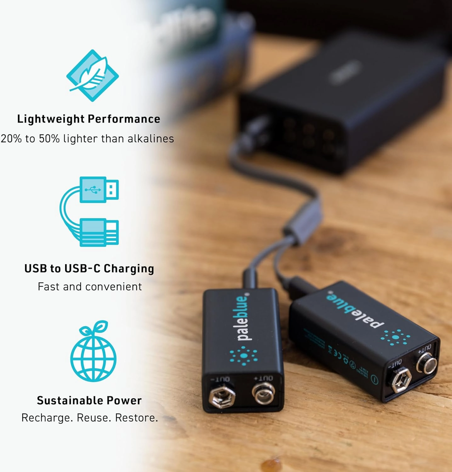 Paleblue USB Rechargeable 9V Batteries (2-Pack) - 4500mWh Lithium Ion, 1000  Charge Cycles, Includes 2-in-1 USB-A to USB-C Charging Cable, LED Charge Indicator, 3.4 Hour Charge Time