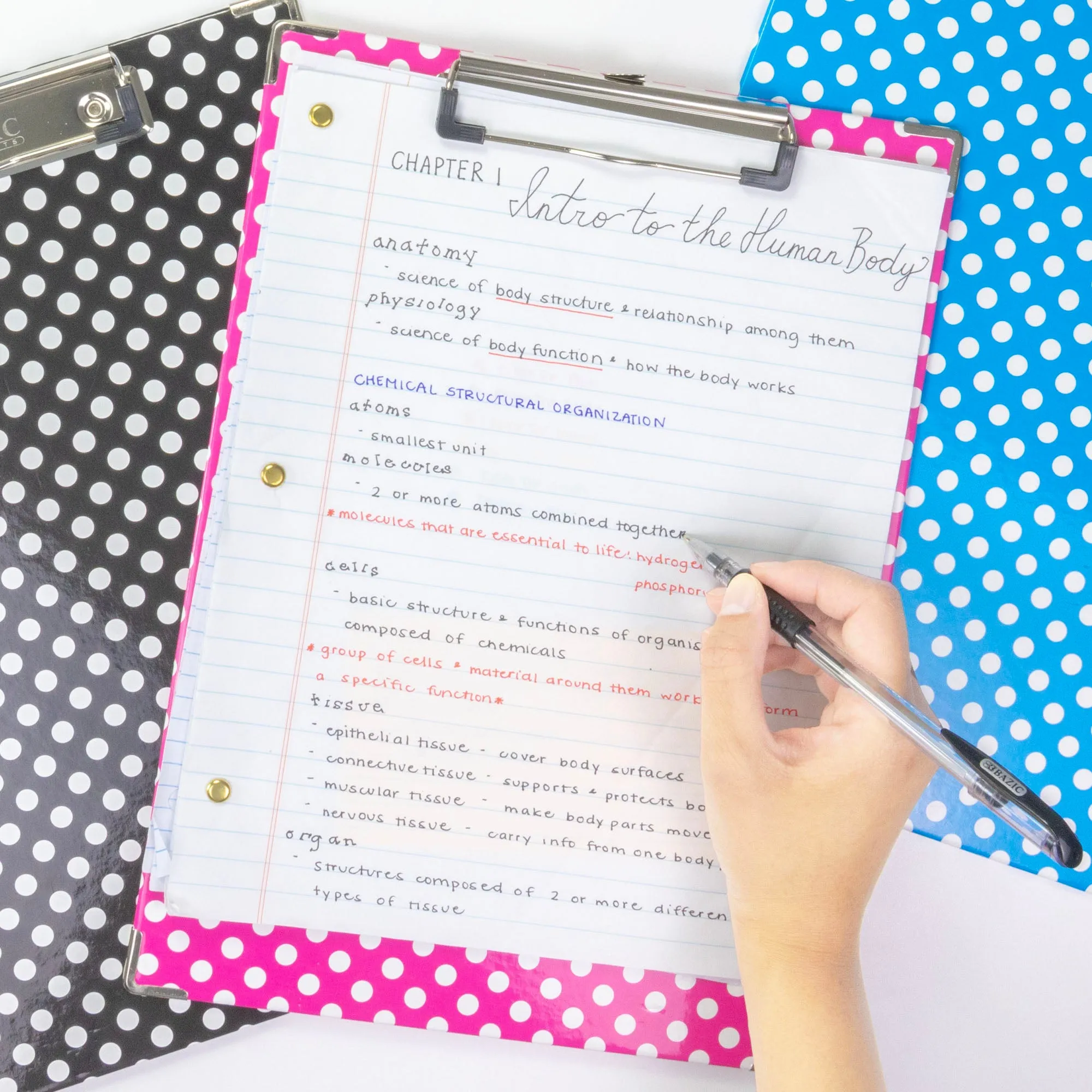 Paperboard Clipboard Standard Size Polka Dot w/ Low Profile Clip