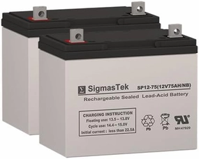 Permobil Robo Wheelchair Deep Cycle Battery 12V 75AH Replacement