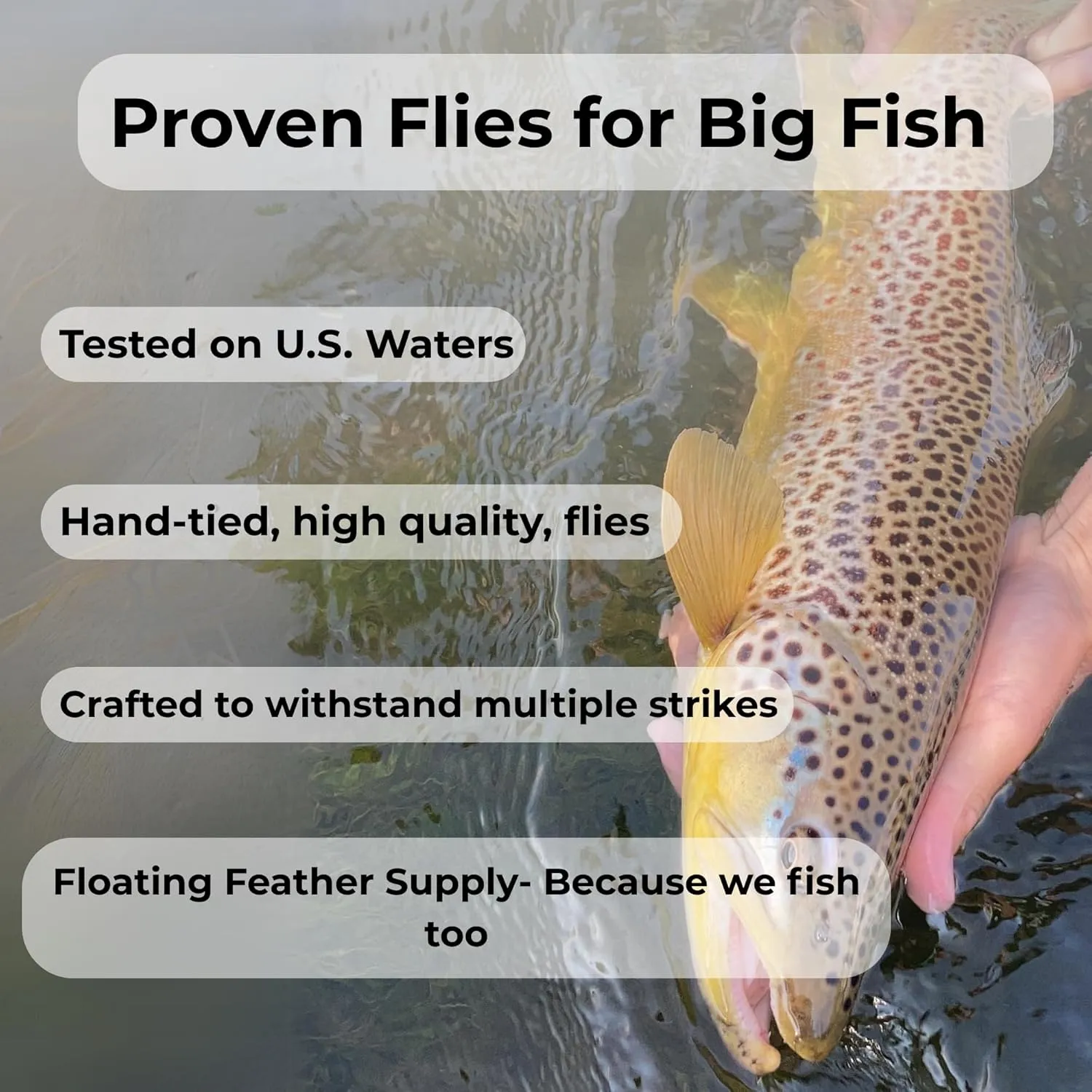 Prince Nymphs for Fly Fishing 12 Pack - Hook Sizes 12-18, Wet Fly Accessories, Trout Flies, Wet Fies Box and Tools, Fishing Flies for Bass and Panfish, Nymph