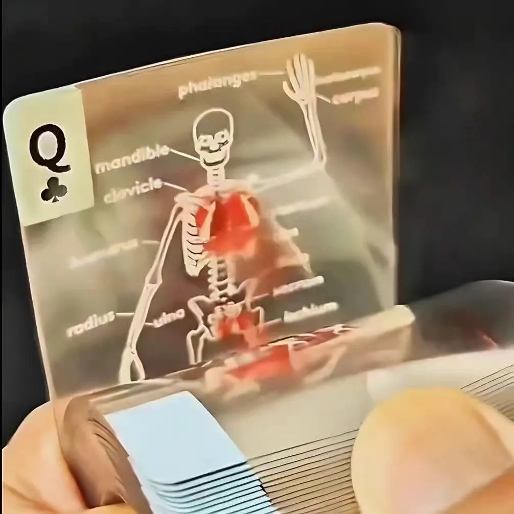 The Body Deck,Fun Transparent Human Anatomy Playing Cards,Card Collectors Gifts for Anatomy Enthusiasts,2PCS